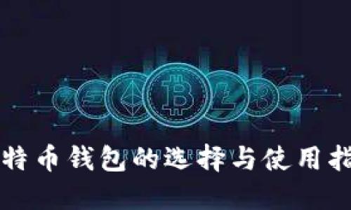 比特币钱包的选择与使用指南
