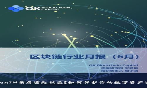 TokenIM截屏密匙被盗？如何保护你的数字资产安全