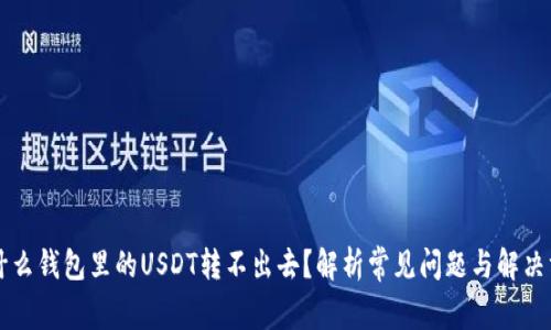 为什么钱包里的USDT转不出去？解析常见问题与解决方案