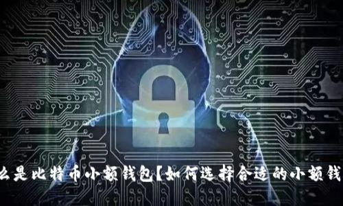 什么是比特币小额钱包？如何选择合适的小额钱包？