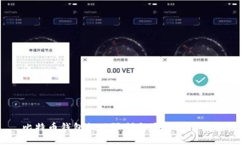 比特币钱包提现限制与最佳选择指南