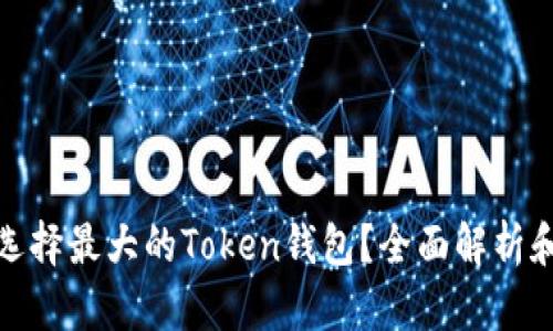 如何选择最大的Token钱包？全面解析和比较