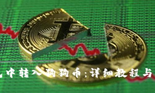 如何在TP钱包中转入狗狗币：详细教程与常见问题解析