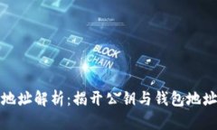 比特币钱包地址解析：揭开公钥与钱包地址的神