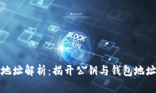 比特币钱包地址解析：揭开公钥与钱包地址的神秘面纱