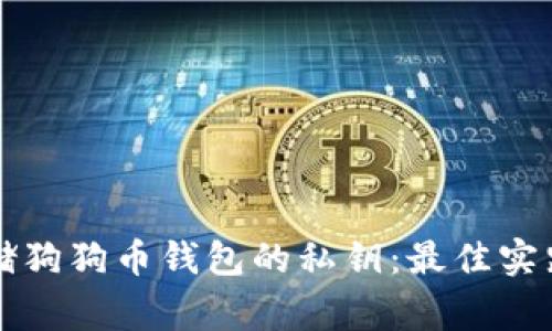 如何安全存储狗狗币钱包的私钥：最佳实践与常见误区