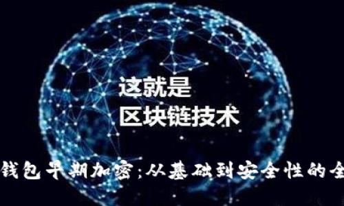 比特币钱包早期加密：从基础到安全性的全景探索