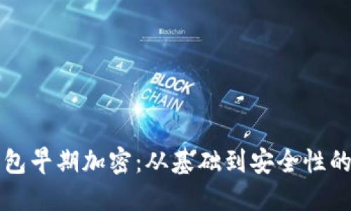 比特币钱包早期加密：从基础到安全性的全景探索