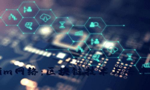 全面解析Tokenim网络：区块链技术与去中心化应用的未来