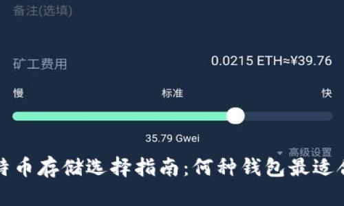 比特币存储选择指南：何种钱包最适合你