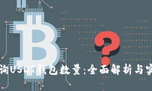 如何查询USDT钱包数量：全面解析与实用指南
