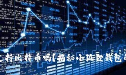 小狐狸钱包支持比特币吗？揭秘小狐狸钱包的功能与优势