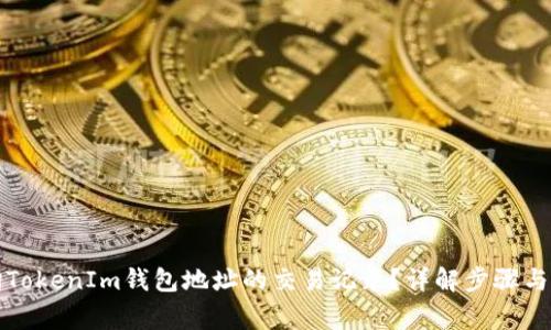 如何查询TokenIm钱包地址的交易记录？详解步骤与注意事项