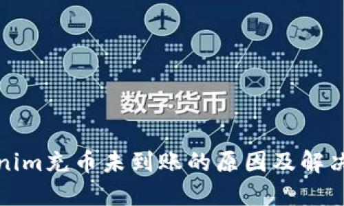 Tokenim充币未到账的原因及解决方法