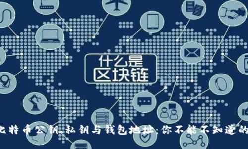 深入探讨比特币公钥、私钥与钱包地址：你不能不知道的安全知识！