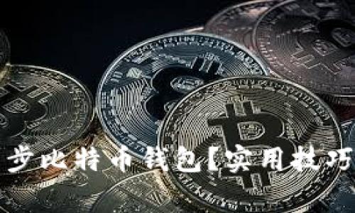 如何快速同步比特币钱包？实用技巧与注意事项