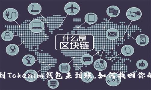 提币到Tokenim钱包未到账，如何找回你的资产