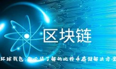 环球钱包：你必须了解的比特币存储解决方案