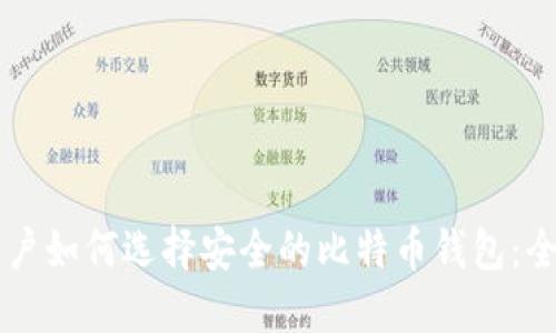 苹果用户如何选择安全的比特币钱包：全面指南