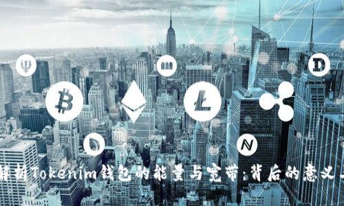 深入解析Tokenim钱包的能量与宽带：背后的意义与应用