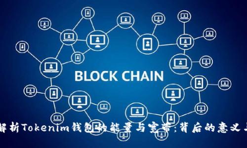 深入解析Tokenim钱包的能量与宽带：背后的意义与应用