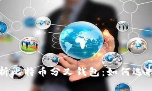 全面解析比特币分叉钱包：如何选择与使用