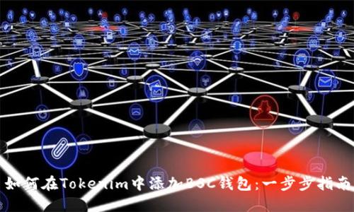 如何在Tokenim中添加BSC钱包：一步步指南