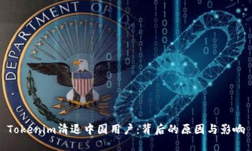 Tokenim清退中国用户：背后的原因与影响