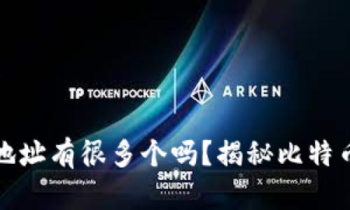 比特币钱包地址有很多个吗？揭秘比特币地址的奥秘