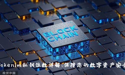 Tokenim私钥位数详解：保障您的数字资产安全