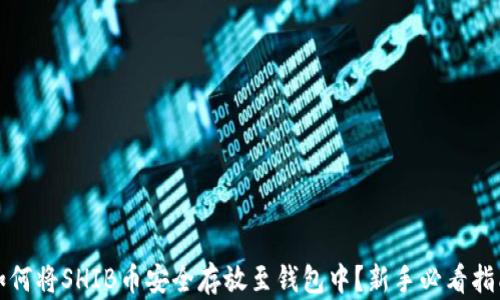 
如何将SHIB币安全存放至钱包中？新手必看指南