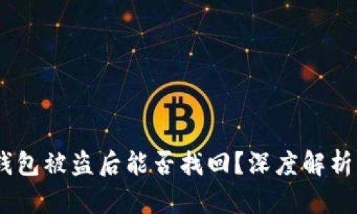 Tokenim 钱包被盗后能否找回？深度解析与应对方案