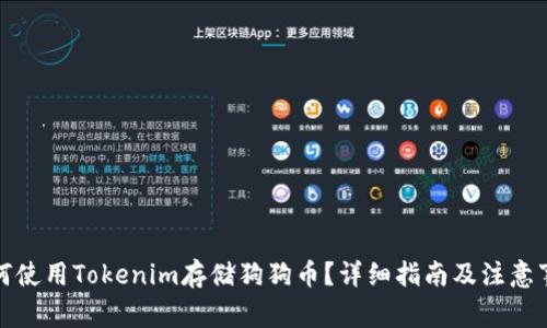 如何使用Tokenim存储狗狗币？详细指南及注意事项