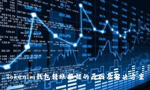 Tokenim钱包转账报错的原因及解决方案