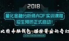 揭密比特币脑钱包：碰撞背后的奇幻旅程