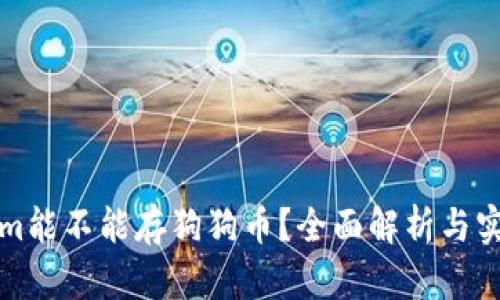 Tokenim能不能存狗狗币？全面解析与实用指南