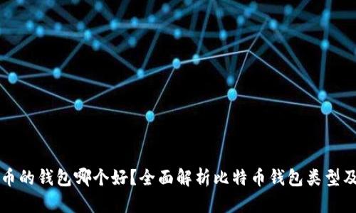 存储比特币的钱包哪个好？全面解析比特币钱包类型及选择指南