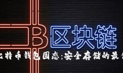 探索比特币钱包固态：安全存储的最佳选择