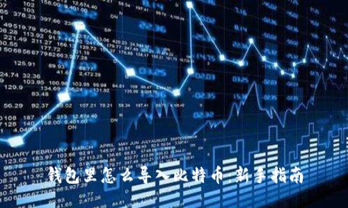 钱包里怎么导入比特币：新手指南