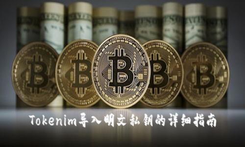 Tokenim导入明文私钥的详细指南