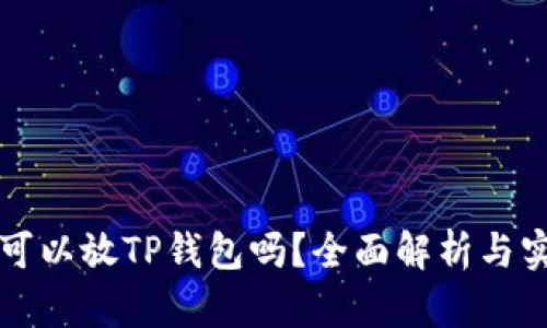 狗狗币可以放TP钱包吗？全面解析与实用指南