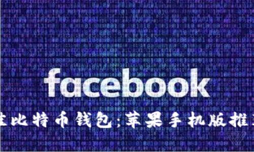 如何选择最佳比特币钱包：苹果手机版推荐与使用指南