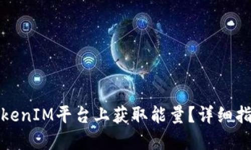 如何在TokenIM平台上获取能量？详细指导与技巧