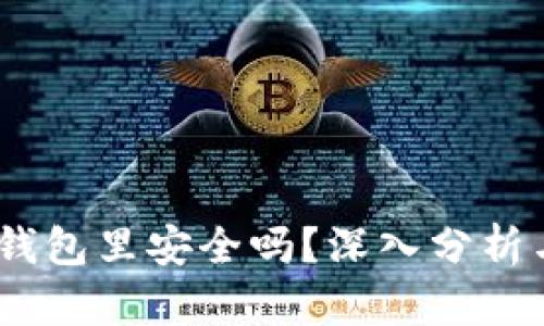 USDT放到钱包里安全吗？深入分析与用户指南