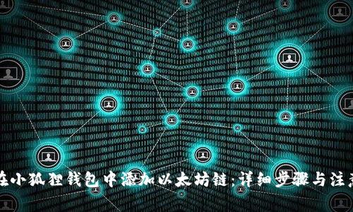 如何在小狐狸钱包中添加以太坊链：详细步骤与注意事项