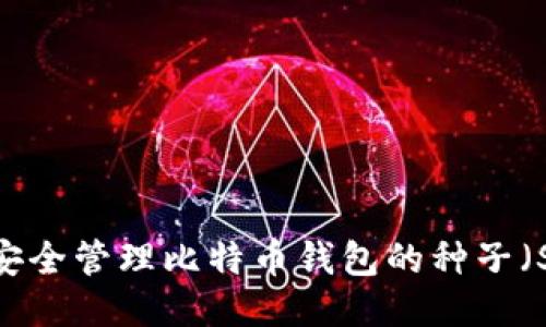 如何安全管理比特币钱包的种子（Seed）