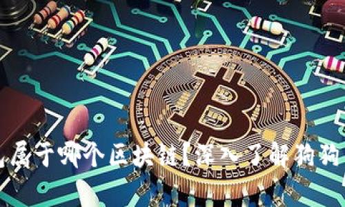 狗狗币存钱包属于哪个区块链？深入了解狗狗币的生态系统