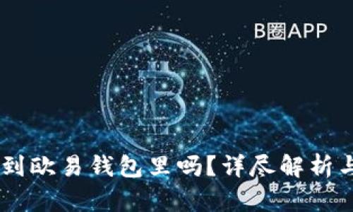 SHIB能放到欧易钱包里吗？详尽解析与使用指南