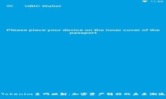 Tokenim主网映射：加密资产转移的未来潮流