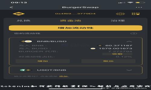 tokenim如何获得能量？深入解析与应用实践